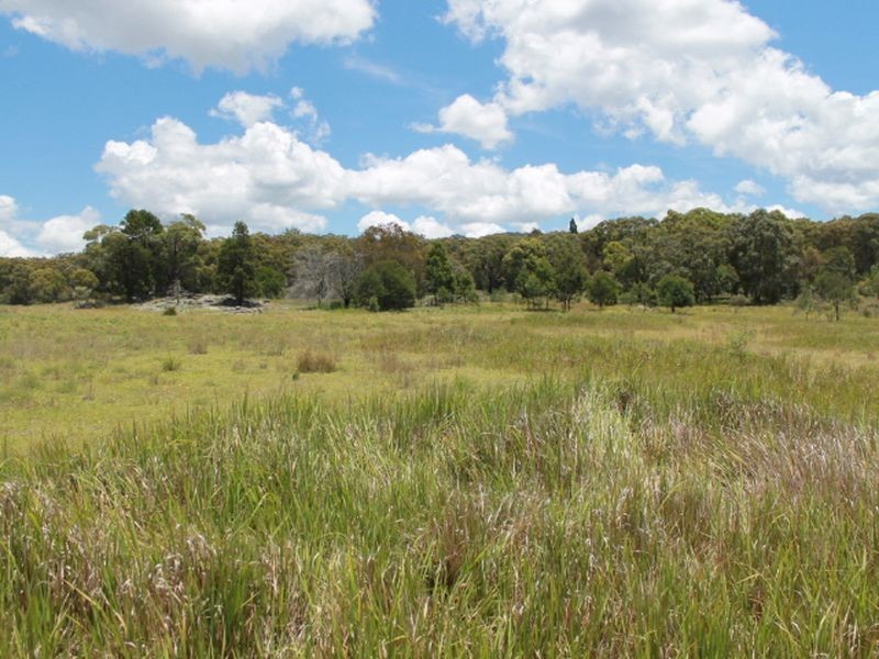Lot 14 Catarrh Creek Road, Torrington NSW 2371