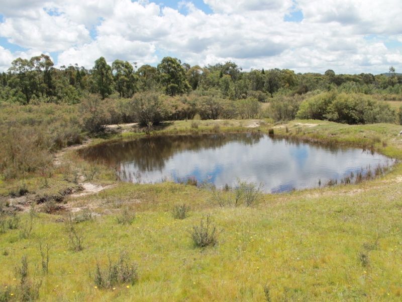 Lot 14 Catarrh Creek Road, Torrington NSW 2371