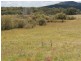 Lot 14 Catarrh Creek Road, Torrington NSW 2371