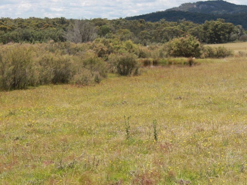Lot 14 Catarrh Creek Road, Torrington NSW 2371