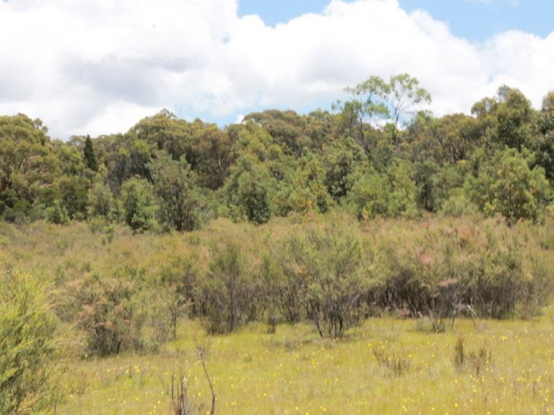 Lot 14 Catarrh Creek Road, Torrington NSW 2371