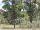 Lot 14 Catarrh Creek Road, Torrington NSW 2371