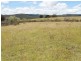 Lot 14 Catarrh Creek Road, Torrington NSW 2371
