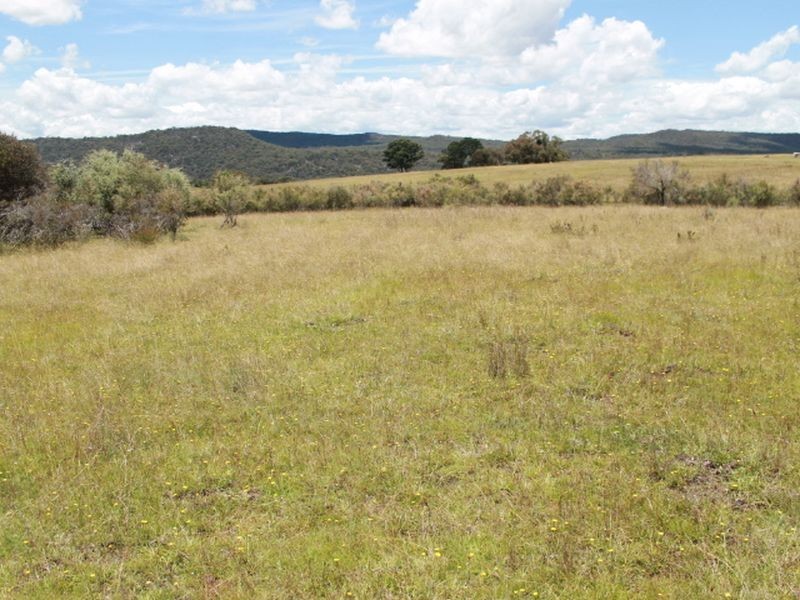 Lot 14 Catarrh Creek Road, Torrington NSW 2371