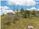 Lot 14 Catarrh Creek Road, Torrington NSW 2371