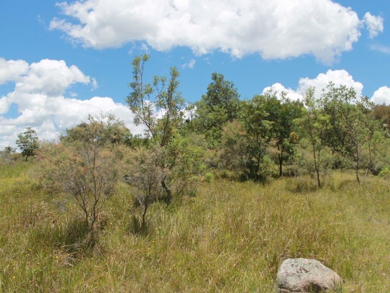 Lot 14 Catarrh Creek Road, Torrington NSW 2371