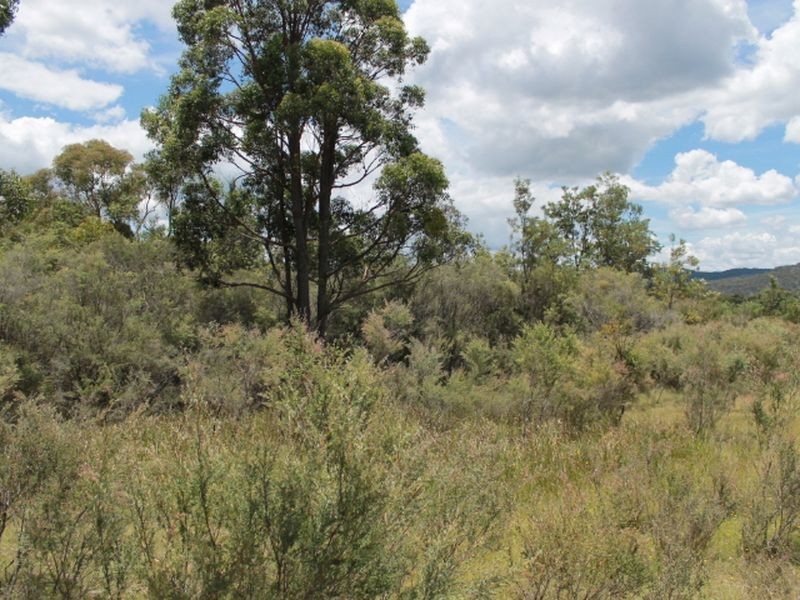 Lot 14 Catarrh Creek Road, Torrington NSW 2371
