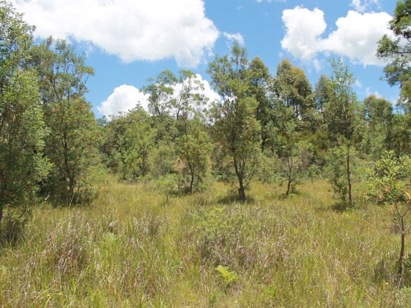 Lot 14 Catarrh Creek Road, Torrington NSW 2371