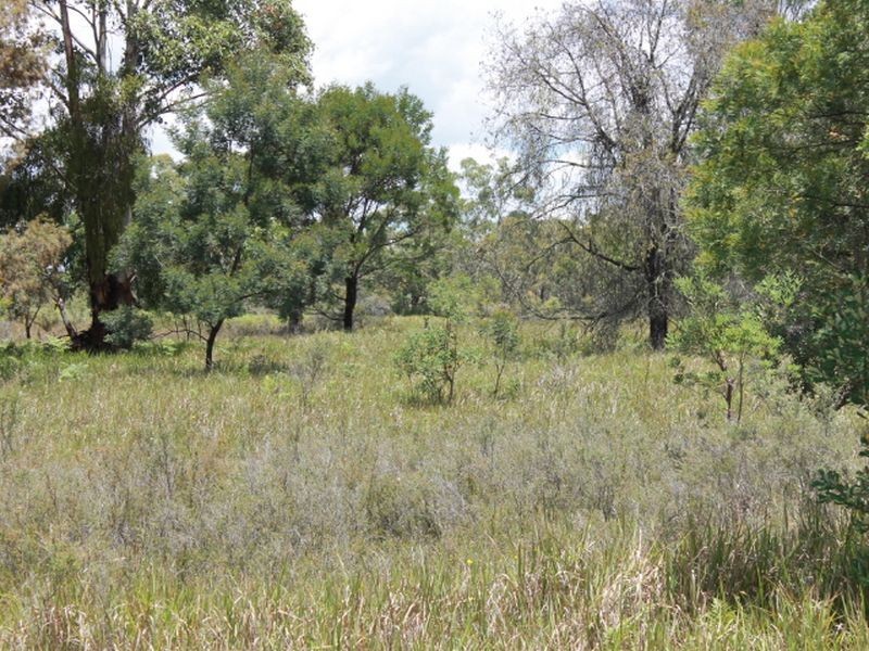 Lot 14 Catarrh Creek Road, Torrington NSW 2371