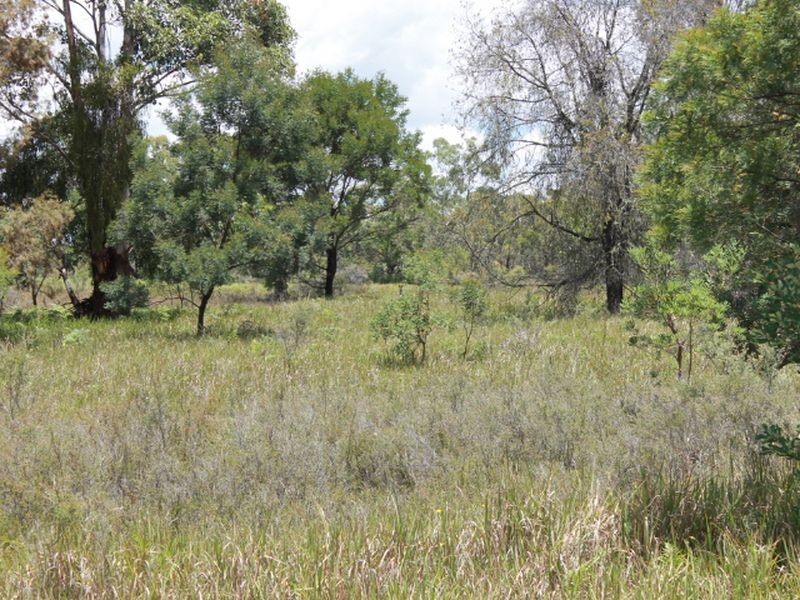 Lot 14 Catarrh Creek Road, Torrington NSW 2371