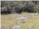 Lot 14 Catarrh Creek Road, Torrington NSW 2371
