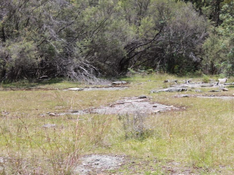 Lot 14 Catarrh Creek Road, Torrington NSW 2371