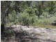 Lot 14 Catarrh Creek Road, Torrington NSW 2371