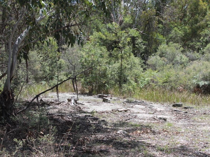 Lot 14 Catarrh Creek Road, Torrington NSW 2371