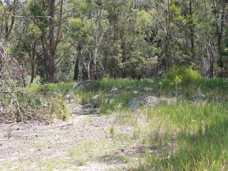 Lot 14 Catarrh Creek Road, Torrington NSW 2371