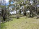Lot 14 Catarrh Creek Road, Torrington NSW 2371