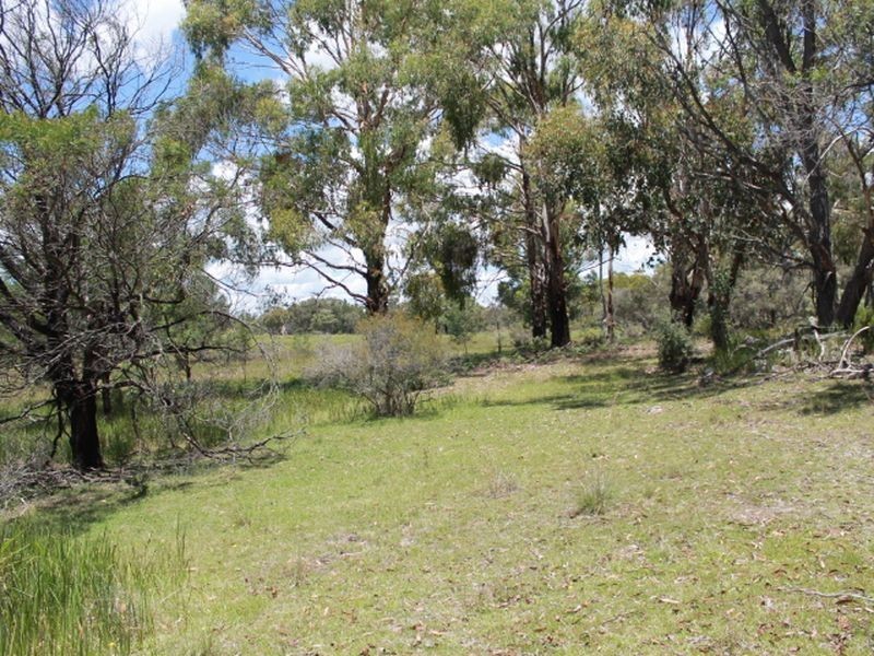 Lot 14 Catarrh Creek Road, Torrington NSW 2371