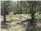 Lot 14 Catarrh Creek Road, Torrington NSW 2371