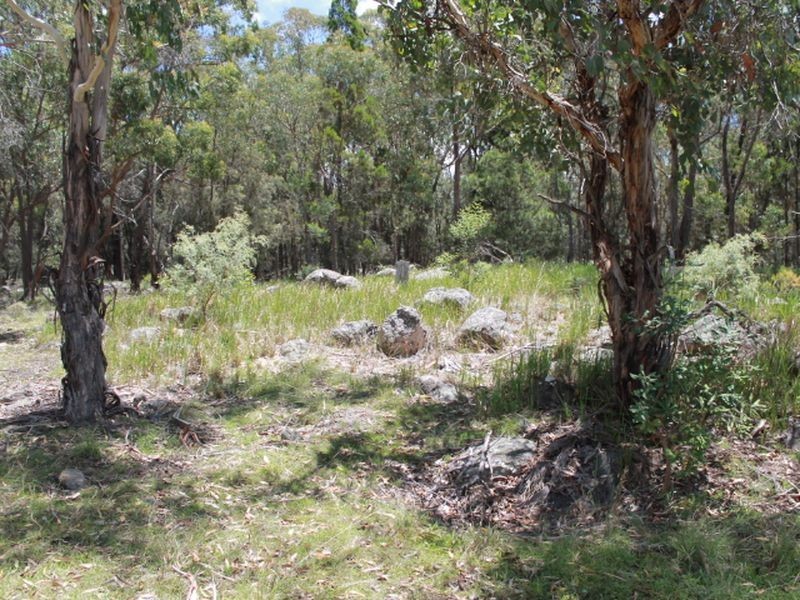Lot 14 Catarrh Creek Road, Torrington NSW 2371