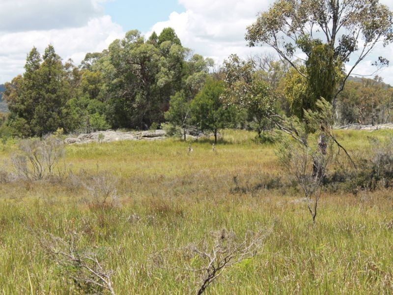 Lot 14 Catarrh Creek Road, Torrington NSW 2371