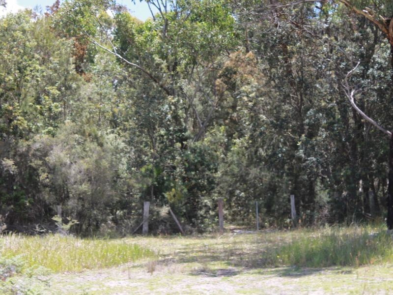Lot 14 Catarrh Creek Road, Torrington NSW 2371