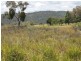 Lot 14 Catarrh Creek Road, Torrington NSW 2371
