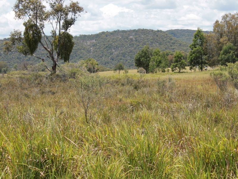 Lot 14 Catarrh Creek Road, Torrington NSW 2371