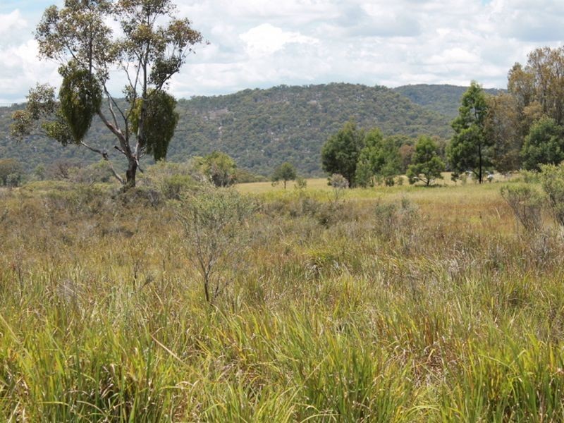 Lot 14 Catarrh Creek Road, Torrington NSW 2371