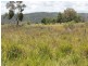 Lot 14 Catarrh Creek Road, Torrington NSW 2371