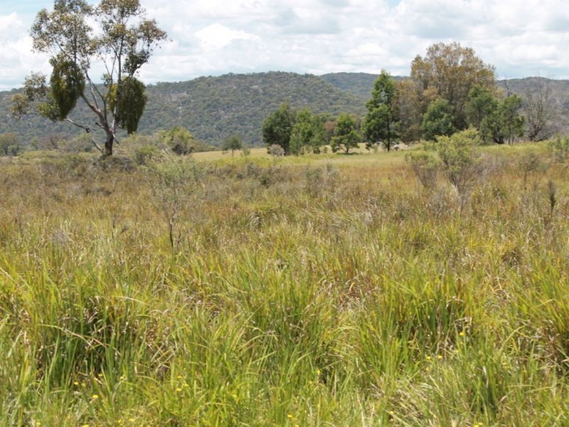 Lot 14 Catarrh Creek Road, Torrington NSW 2371