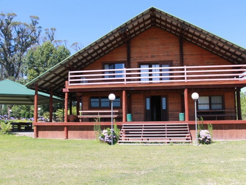97 Yarrowlee Rd, Pinkett NSW 2370