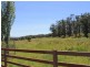 97 Yarrowlee Rd, Pinkett NSW 2370