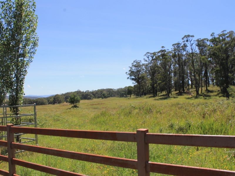 97 Yarrowlee Rd, Pinkett NSW 2370