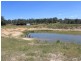97 Yarrowlee Rd, Pinkett NSW 2370