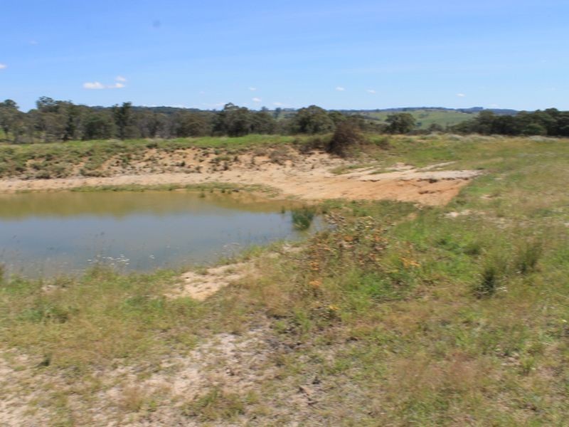 97 Yarrowlee Rd, Pinkett NSW 2370