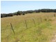 97 Yarrowlee Rd, Pinkett NSW 2370