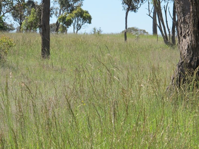 Lots 19 & New England Highway, Deepwater NSW 2371