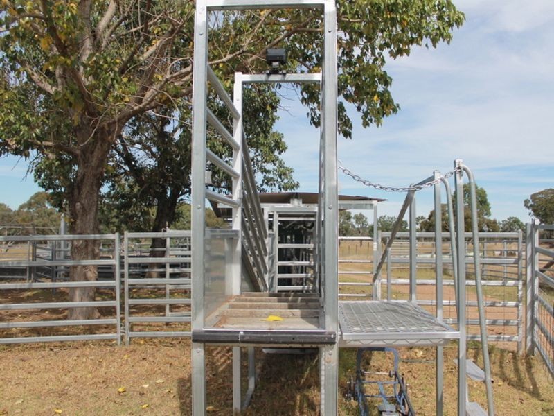 3739 Glen Innes Rd, Emmaville NSW 2371