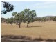 3739 Glen Innes Rd, Emmaville NSW 2371