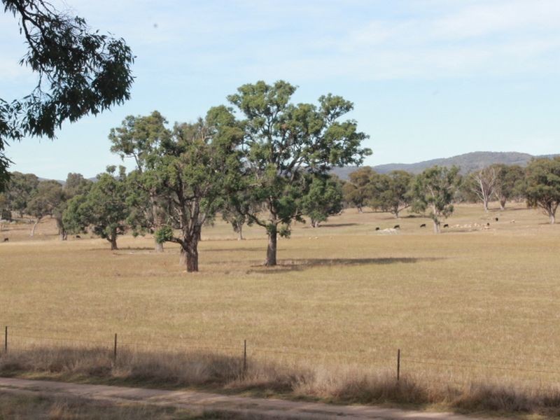 3739 Glen Innes Rd, Emmaville NSW 2371