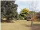 3739 Glen Innes Rd, Emmaville NSW 2371