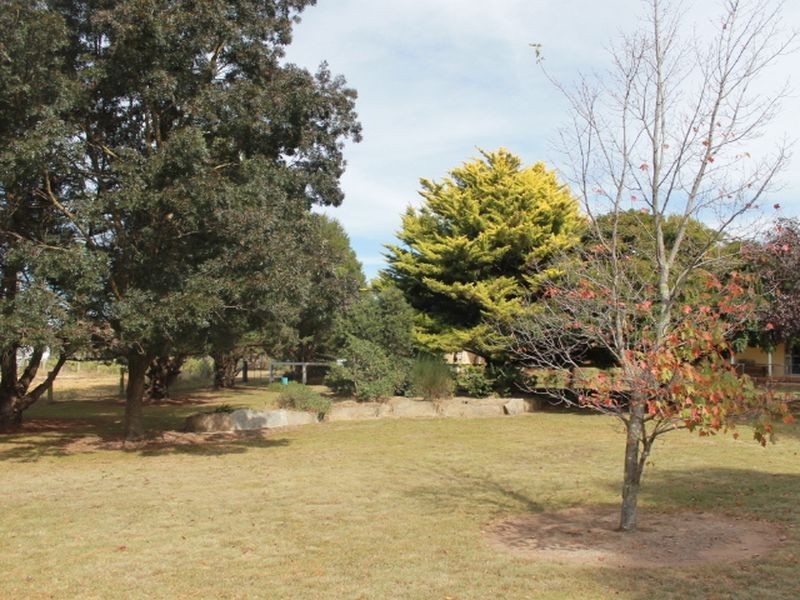 3739 Glen Innes Rd, Emmaville NSW 2371