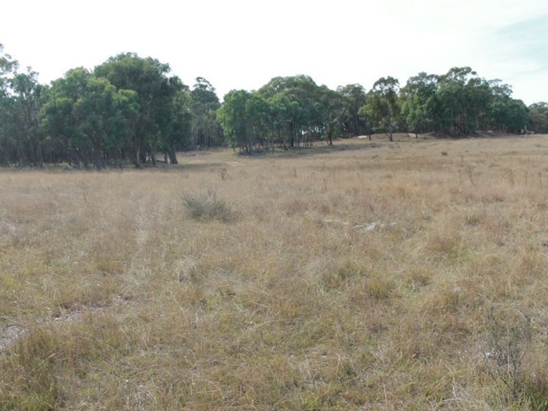 3739 Glen Innes Rd, Emmaville NSW 2371