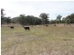 3739 Glen Innes Rd, Emmaville NSW 2371