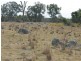 3739 Glen Innes Rd, Emmaville NSW 2371