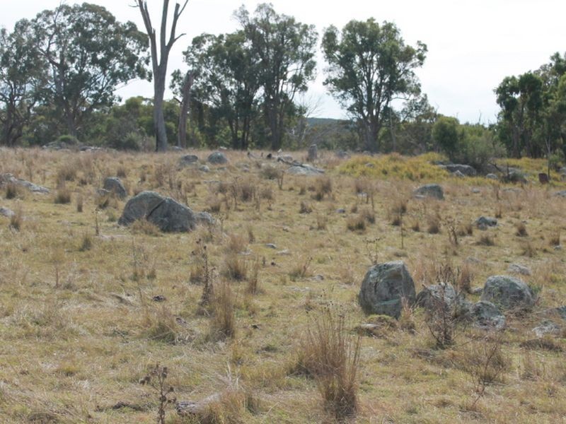 3739 Glen Innes Rd, Emmaville NSW 2371