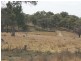 3739 Glen Innes Rd, Emmaville NSW 2371