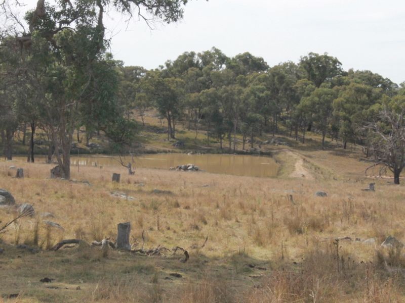 3739 Glen Innes Rd, Emmaville NSW 2371