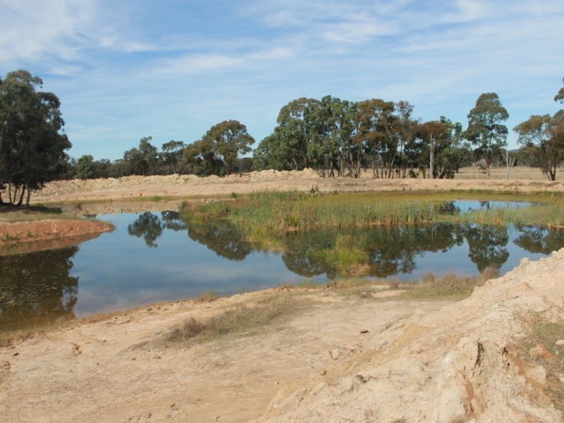 3739 Glen Innes Rd, Emmaville NSW 2371