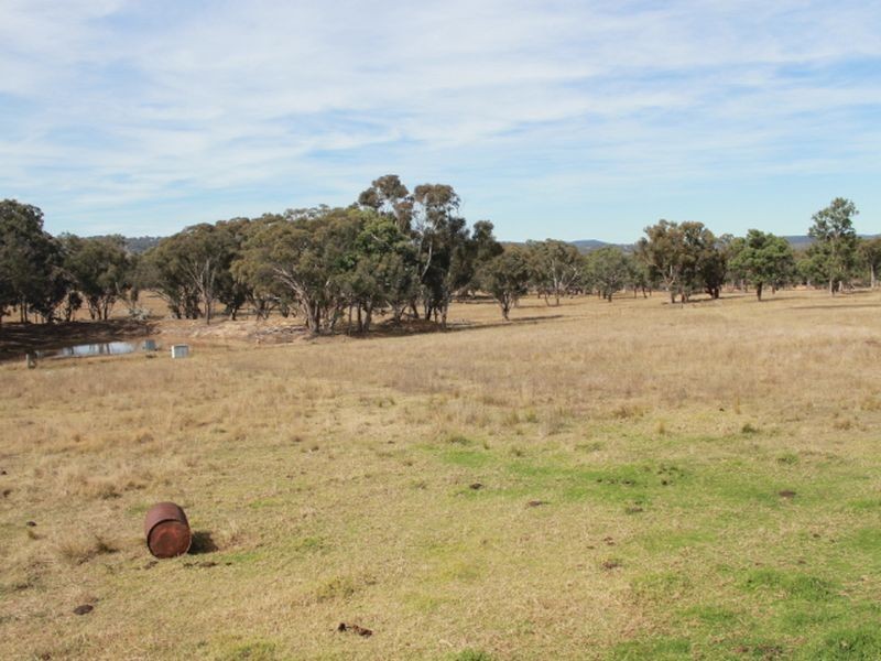 3739 Glen Innes Rd, Emmaville NSW 2371
